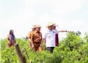 Persiapan Program Makan Siang Bergizi Gratis, Pj Wali Kota Pekanbaru Cek Budi Daya Telur, Ikan, dan Sayur di Bina Widya