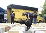 Maraknya Peredaran Rokok Ilegal, Bea Cukai Riau Laksanakan Razia Besar