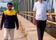 Pastikan Pengerjaan Sesuai SOP, Wako Dumai Kembali Tinjau Pembangunan Jembatan Duplikat Sungai Masjid   
