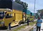 Dua Truk Berisi Mangga dan Satu Truk Berisi Ballpress Diduga Ilegal Diamankan Ditpolairud Polda Riau