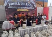 Bea Cukai Kepri Gagalkan Penyelundupan Pasir Timah Senilai 5,2 Miliar ke Malaysia