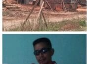 Miris, Hutan di Riau Hampir Punah,Somel kayu Merajalela di Wilayah Hukum Polres Kampar