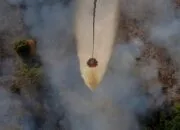 Perangi Api, 3,19 Juta Liter Air Ditumpahkan Helikopter Water Bombing di Lokasi Karhutla