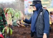 Bupati Afni Tanam Pohon di Lahan Bekas Karhutla upaya Penghijauan dan Menghindari Alih Fungsi Hutan